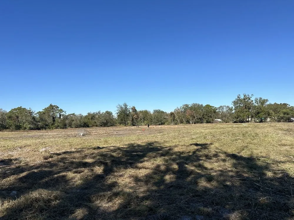 Custom yard cleanup service for beautiful yards in Belleview, FL by Quality Improvement Consultants