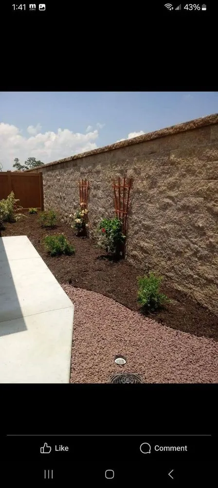 Local yard maintenance in Belleview, FL by Quality Improvement Consultants