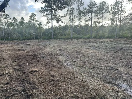 Quality Improvement Consultants