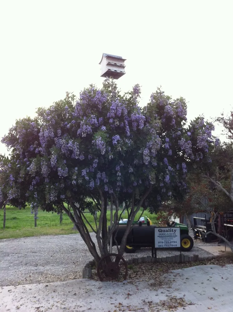 Reliable lawn mowing service with custom design across Weimar, TX - Quality Irrigation & Landscape