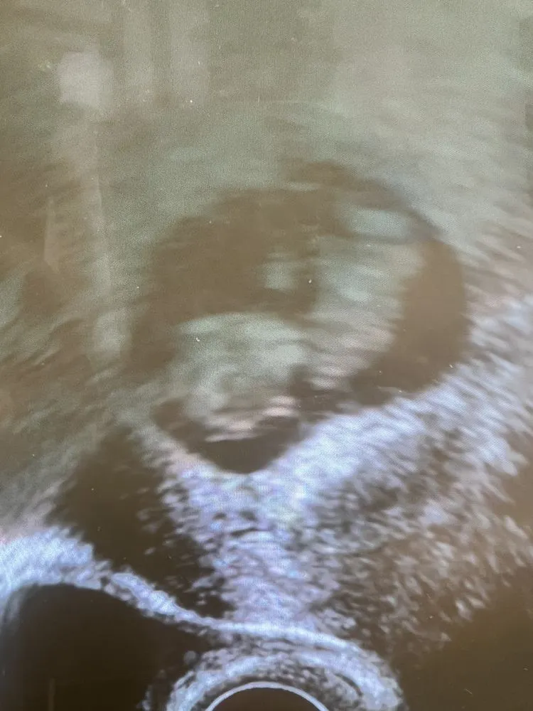 Trusted lawn mowing service experts serving Honolulu, HI - Quality Irrigation Oahu