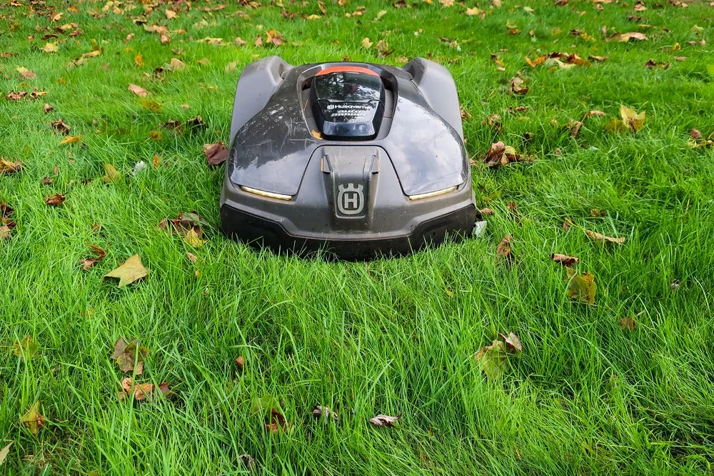 Affordable landscaping services in Huntington, NY - Quality Island Landscaping