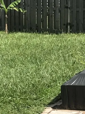 Quality Land Care Logo