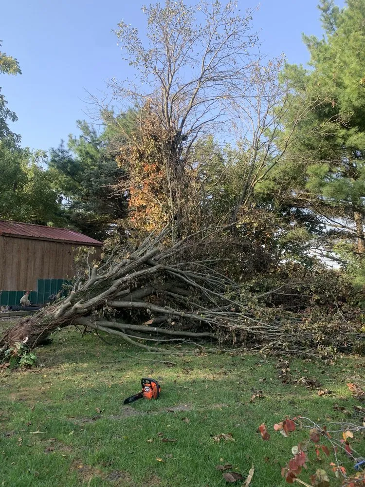 Trusted landscape installation in Decatur, IL - Quality Land Management