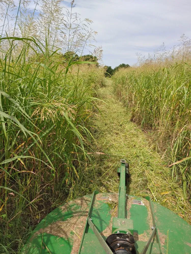 Professional landscape design in Gainesville, TX by Quality Land Management