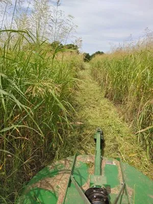 Quality Land Management