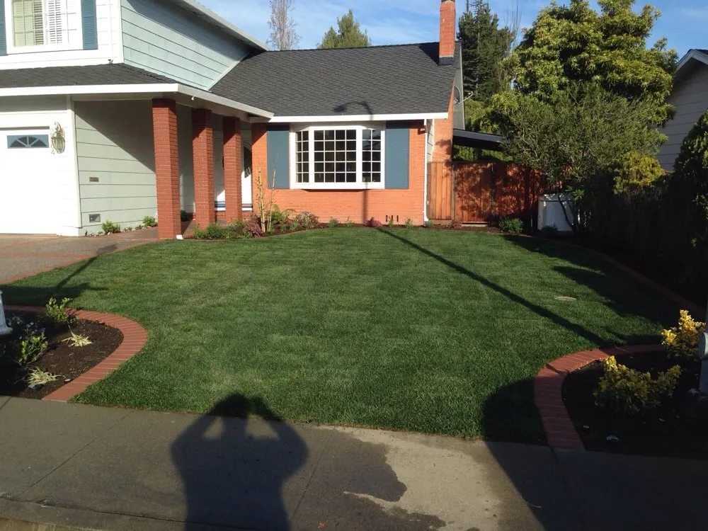 Custom yard cleanup service in San Mateo, CA - Quality Landscape & Concrete