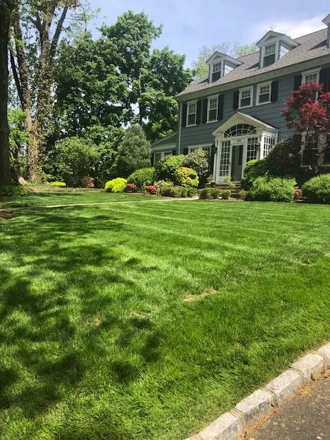 Trusted landscape design experts serving Westfield, NJ - Quality Landscape & Construction