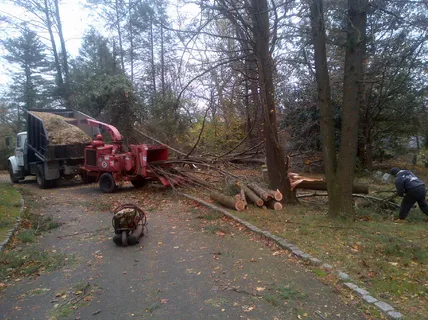 Affordable landscape installation in Westfield, NJ by Quality Landscape & Construction