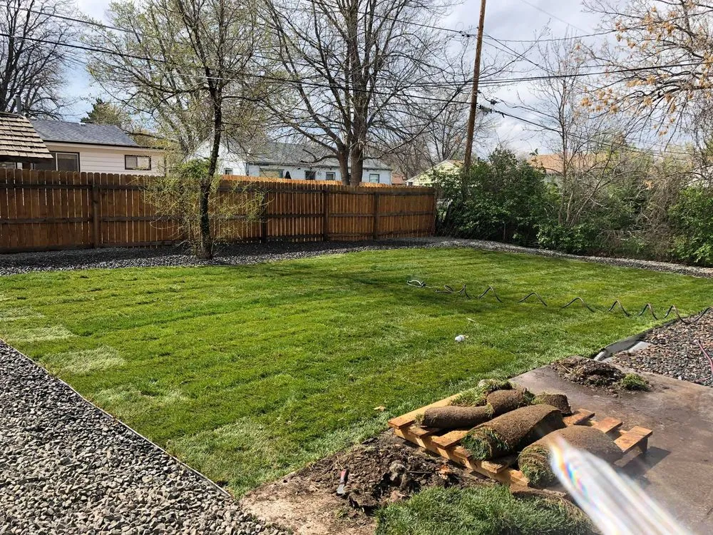 Trusted landscaping services for beautiful yards across Parker, CO - Quality Landscape & Design