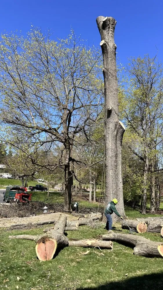 Reliable landscape installation in Brewster, NY - Quality Landscape & Homes