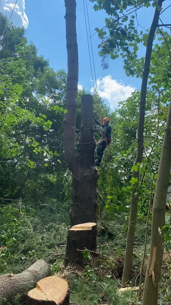 Professional landscape design in Brewster, NY - Quality Landscape & Homes