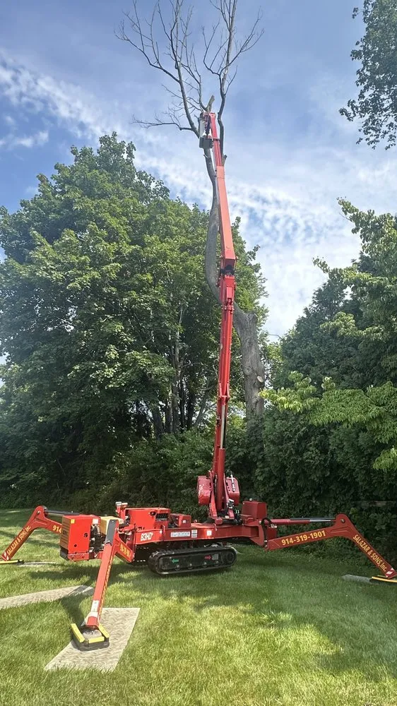 Affordable landscape design near you in Brewster, NY by Quality Landscape & Homes