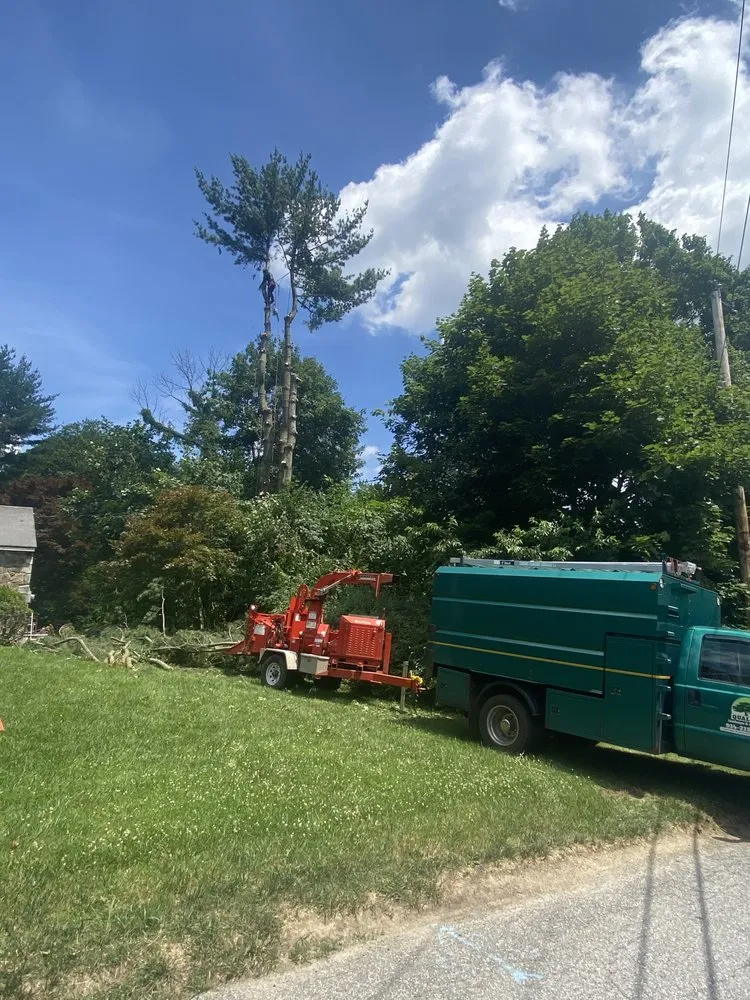 Professional garden landscaping near you in Brewster, NY by Quality Landscape & Homes