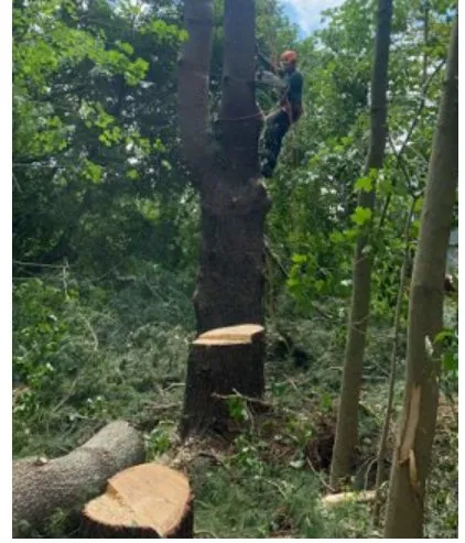 Reliable residential landscaping for outdoor upgrades in Brewster, NY by Quality Landscape & Homes