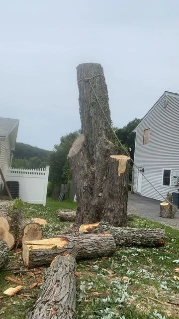 Top-rated yard cleanup service in Brewster, NY by Quality Landscape & Homes