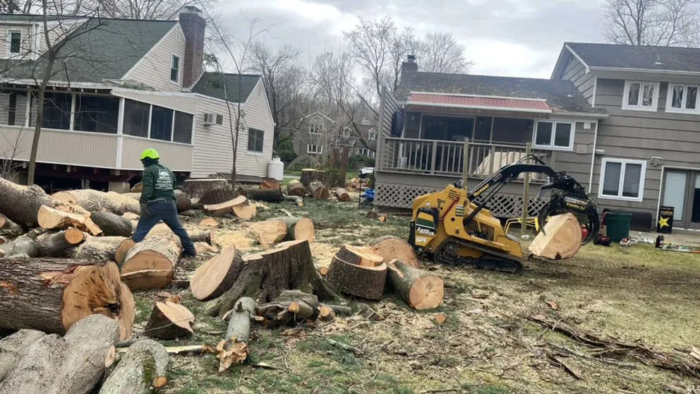 Local yard cleanup service for outdoor upgrades across Brewster, NY - Quality Landscape & Homes