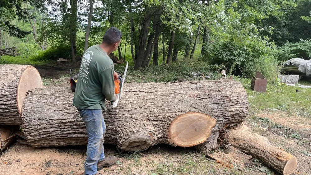 Expert landscape design in Brewster, NY - Quality Landscape & Homes