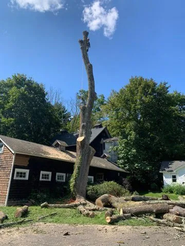 Reliable yard cleanup service in Brewster, NY by Quality Landscape & Homes