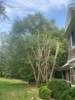 Trusted lawn mowing service in Brewster, NY - Quality Landscape & Homes