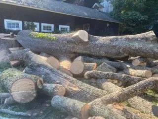 Top-rated lawn care service experts serving Brewster, NY - Quality Landscape & Homes