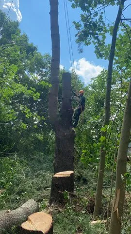 Affordable landscaping services for outdoor upgrades in Brewster, NY by Quality Landscape & Homes