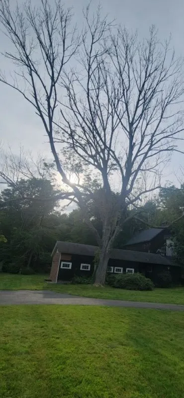 Expert yard maintenance with custom design across Brewster, NY - Quality Landscape & Homes