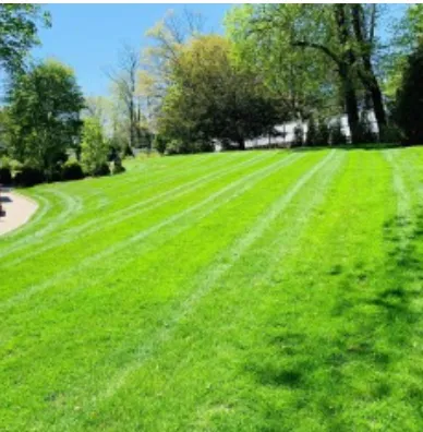 Professional landscape design for outdoor upgrades in Brewster, NY by Quality Landscape & Homes