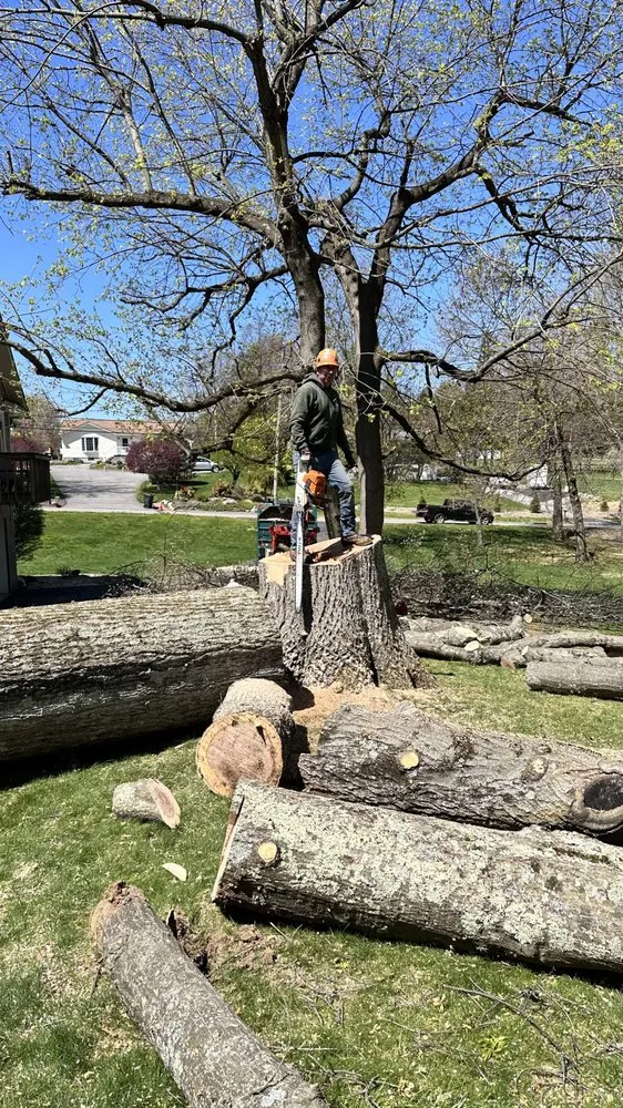 Professional landscaping services in Brewster, NY by Quality Landscape & Homes