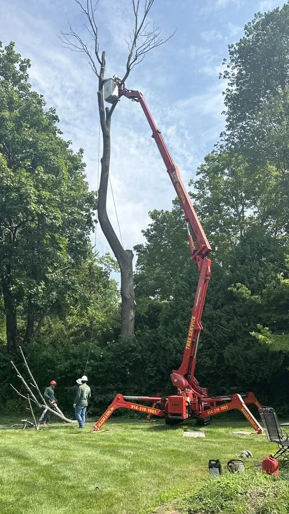 Affordable lawn mowing service with custom design across Brewster, NY - Quality Landscape & Homes