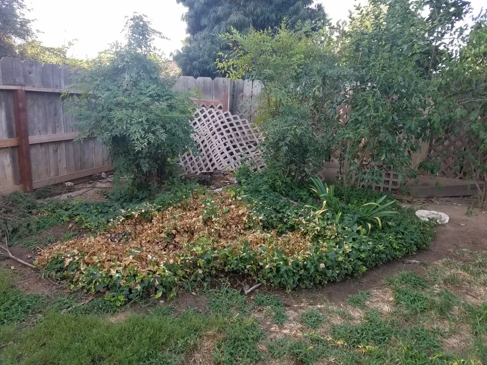 Affordable garden landscaping for homes across Clovis, CA - Quality Landscape & Maintenance