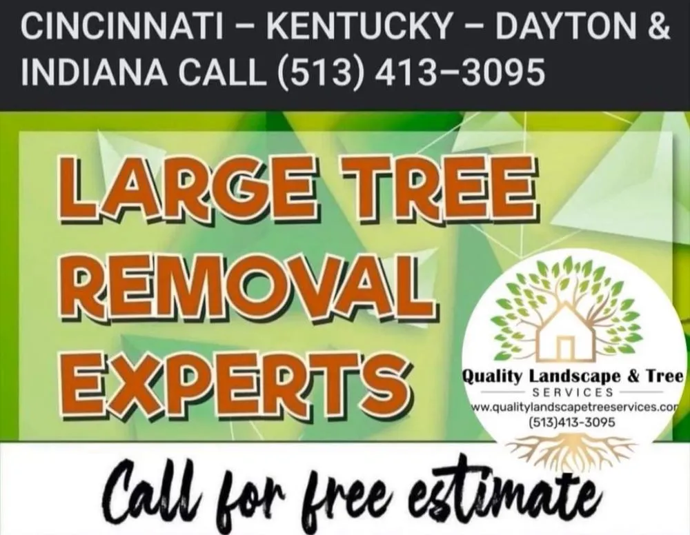 Expert yard cleanup service for homes across Cincinnati, OH - Quality Landscape & Tree Services