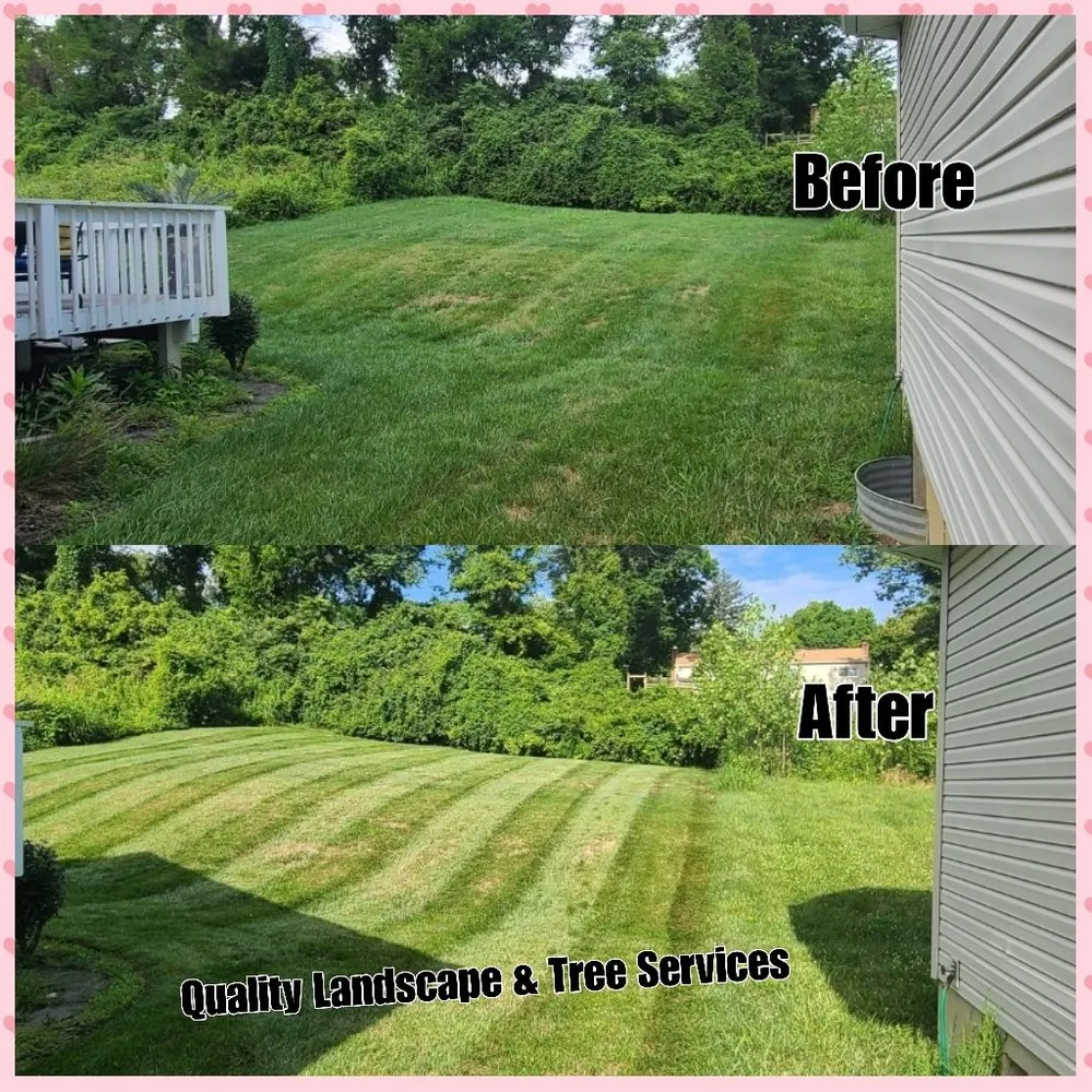 Custom lawn mowing service in Cincinnati, OH by Quality Landscape & Tree Services