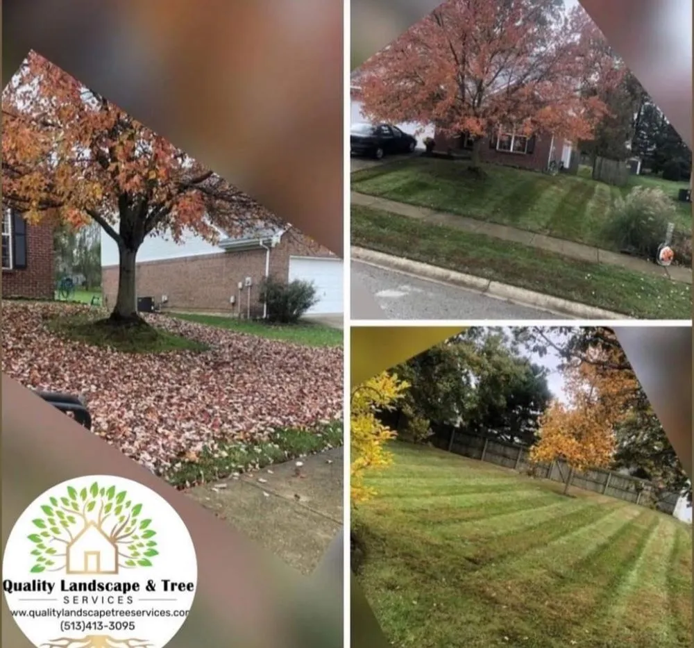 Expert landscape installation for outdoor upgrades in Cincinnati, OH by Quality Landscape & Tree Services