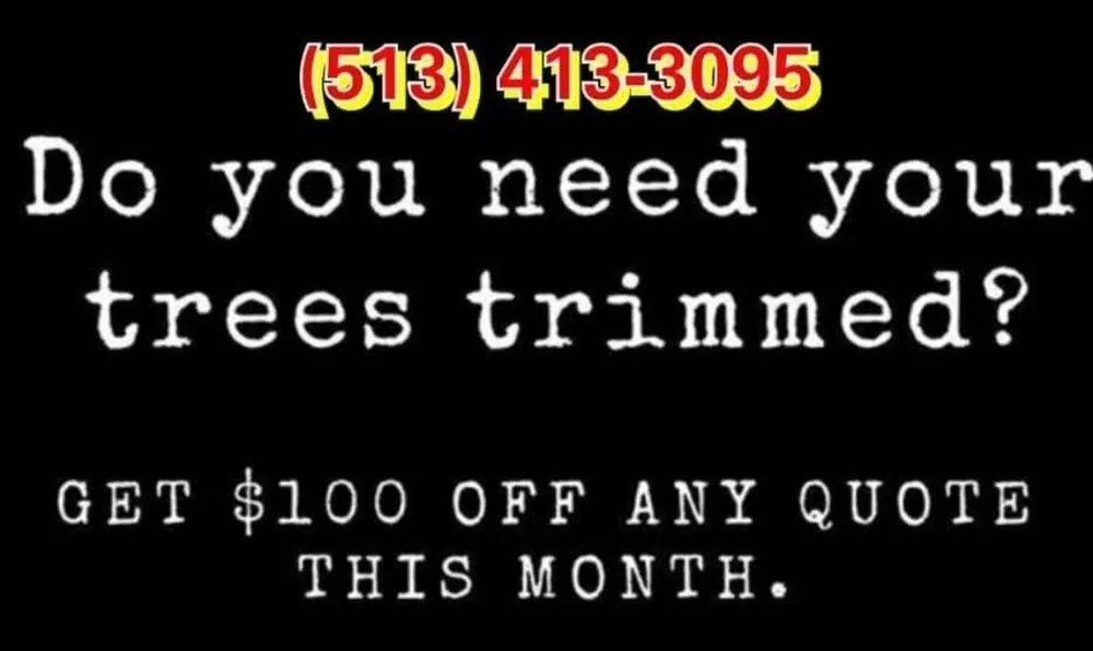 Local yard cleanup service for beautiful yards across Cincinnati, OH - Quality Landscape & Tree Services