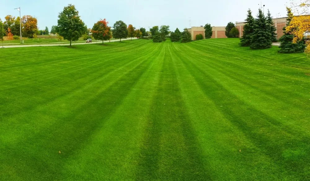 Affordable residential landscaping in Grafton, WI - Quality Landscape and Lawn Care