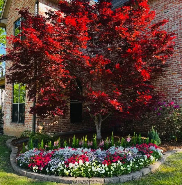 Custom lawn care service in Bossier City, LA by Quality Landscape