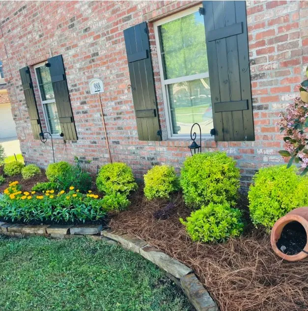 Reliable yard cleanup service in Bossier City, LA - Quality Landscape