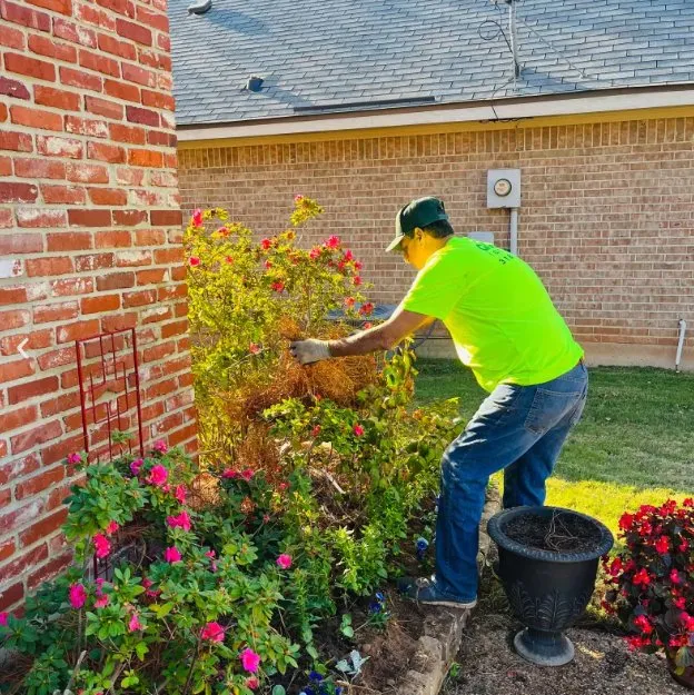 Reliable residential landscaping for outdoor upgrades in Bossier City, LA by Quality Landscape