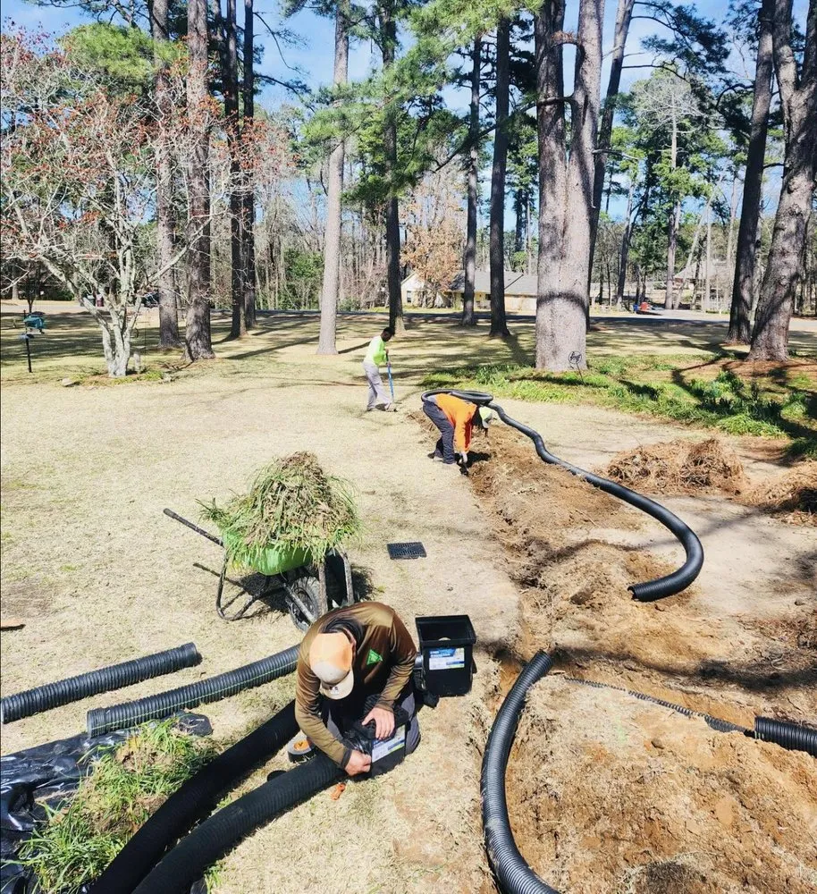 Top-rated yard cleanup service for year-round maintenance in Bossier City, LA by Quality Landscape