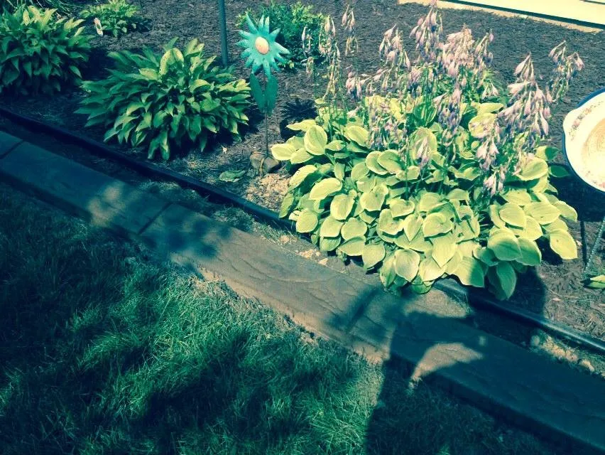 Reliable lawn mowing service in Hastings, MN - Quality Landscape Curbing