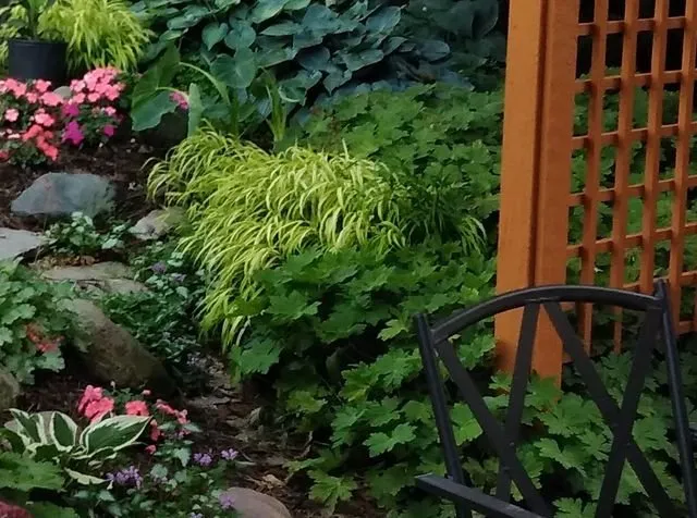 Reliable yard cleanup service in East Lansing, MI - Quality Landscape