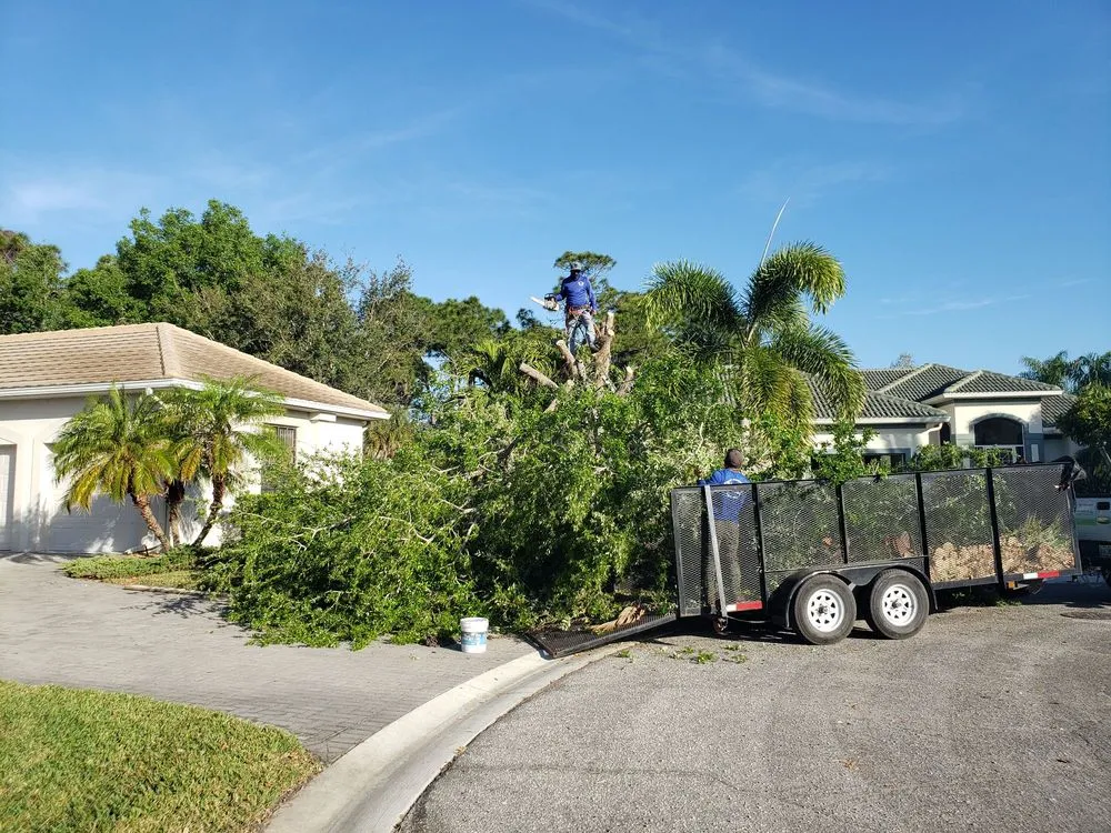 Trusted outdoor landscaping in Englewood, FL - Quality Landscape