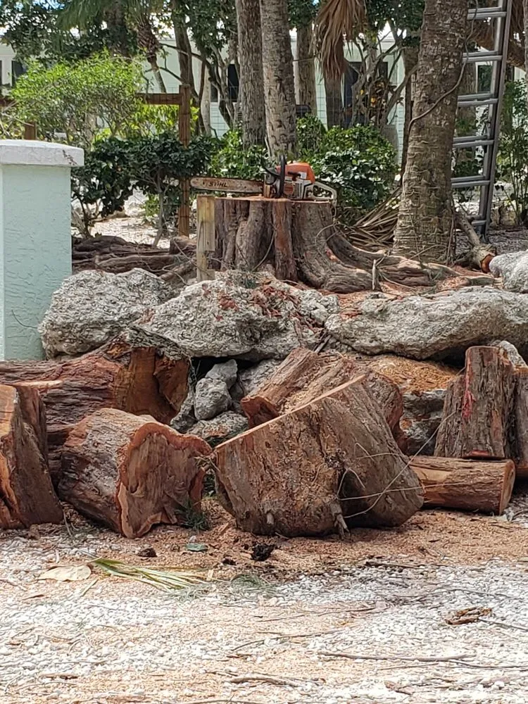 Expert landscape installation experts serving Englewood, FL - Quality Landscape