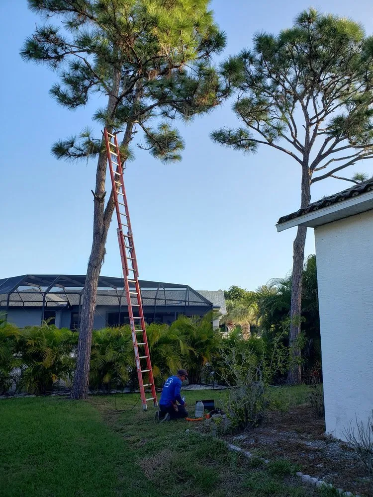 Local lawn mowing service in Englewood, FL by Quality Landscape