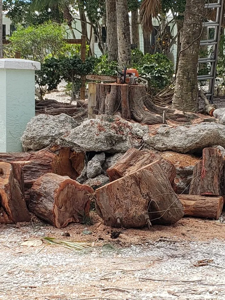 Custom yard cleanup service experts serving Englewood, FL - Quality Landscape