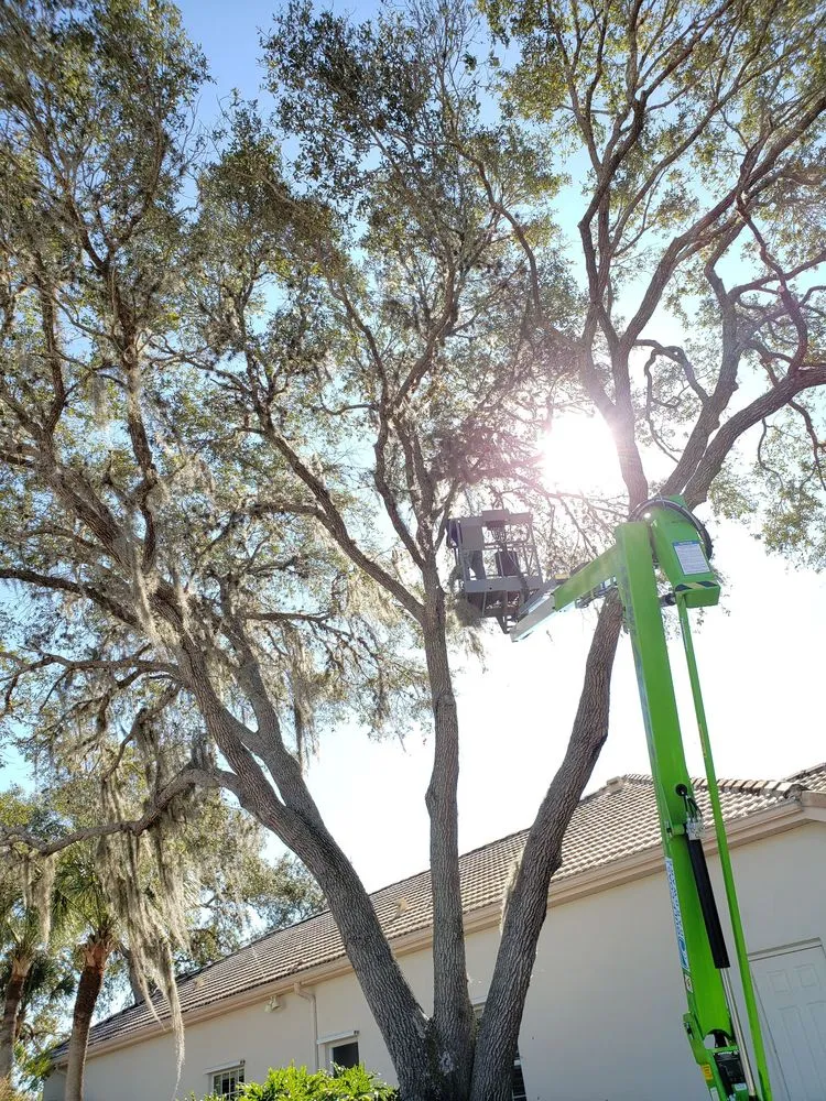 Top-rated outdoor landscaping for residential properties in Englewood, FL by Quality Landscape