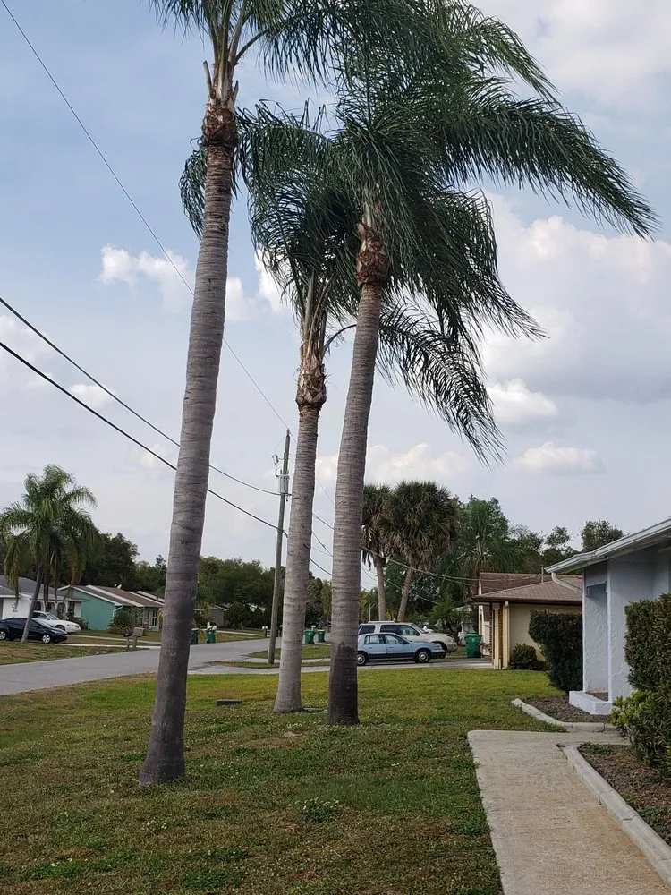 Reliable yard maintenance for year-round maintenance across Englewood, FL - Quality Landscape
