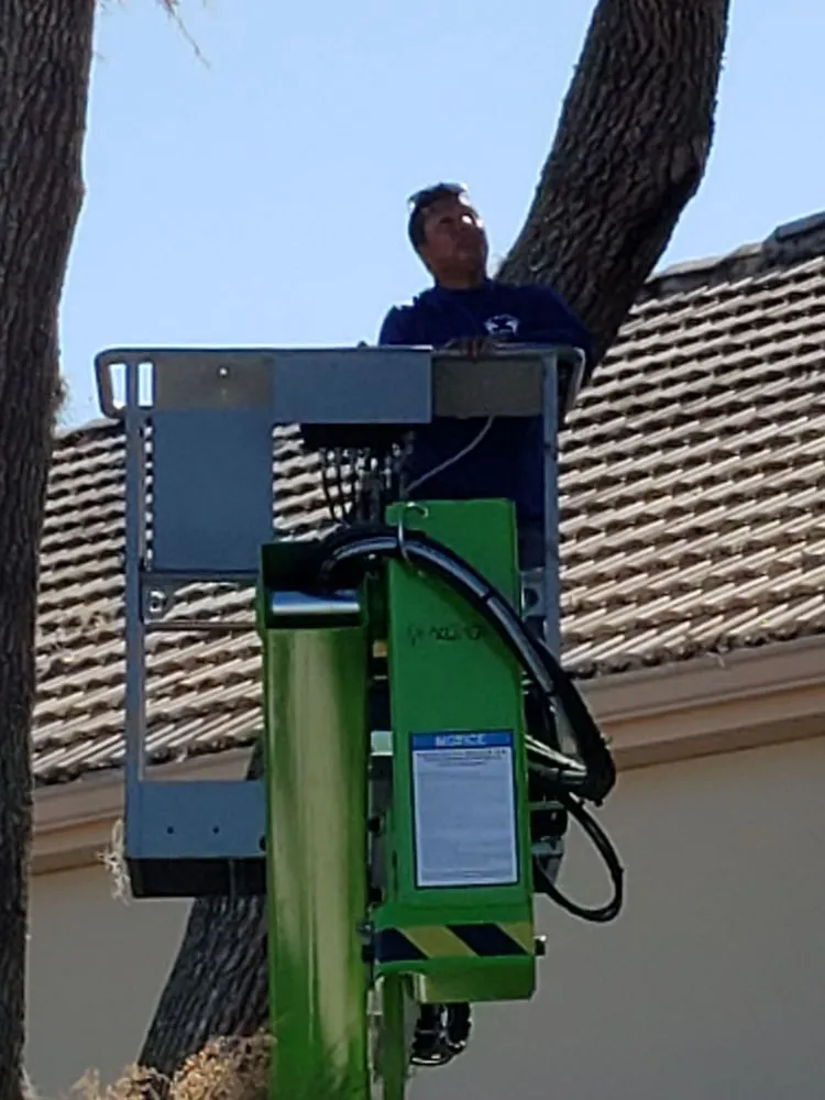 Trusted garden landscaping for year-round maintenance across Englewood, FL - Quality Landscape