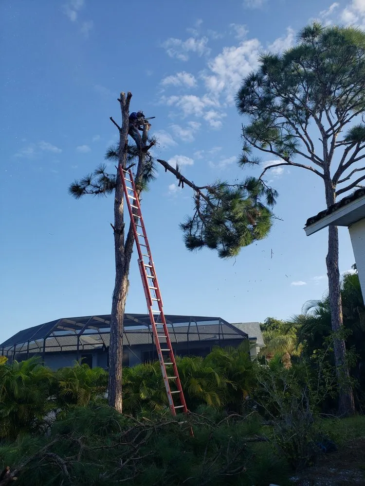 Affordable lawn care service in Englewood, FL - Quality Landscape